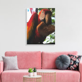 Scarlet Macaw Parrot Eating Toast Leinwanddruck (Insitu (Wohnzimmer))
