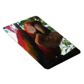 Scarlet Macaw Parrot Eating Toast Magnet (Rechte Seite)