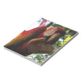 Scarlet Macaw Parrot Eating Toast Notizblock (Rotiert)