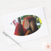 Scarlet Macaw Parrot Eating Toast Ovaler Aufkleber (Umschlag)