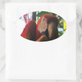 Scarlet Macaw Parrot Eating Toast Ovaler Aufkleber (Tasche)