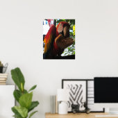 Scarlet Macaw Parrot Eating Toast Poster (Heimbüro)