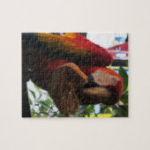 Scarlet Macaw Parrot Eating Toast Puzzle (Horizontal)