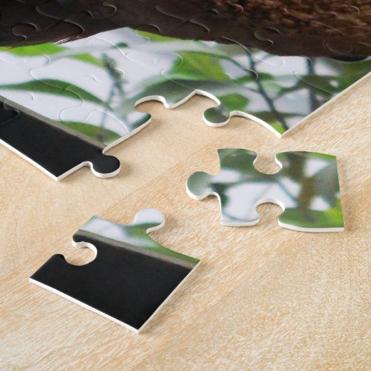 Scarlet Macaw Parrot Eating Toast Puzzle (Seite)