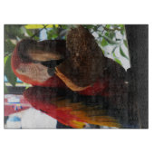 Scarlet Macaw Parrot Eating Toast Schneidebrett (Vorderseite)