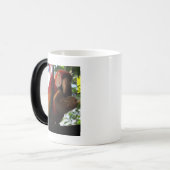 Scarlet Macaw Parrot Eating Toast Verwandlungstasse (Vorderseite Links)