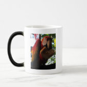 Scarlet Macaw Parrot Eating Toast Verwandlungstasse (Links)