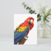 Scarlet Macaw Postkarte (Stehend Vorderseite)
