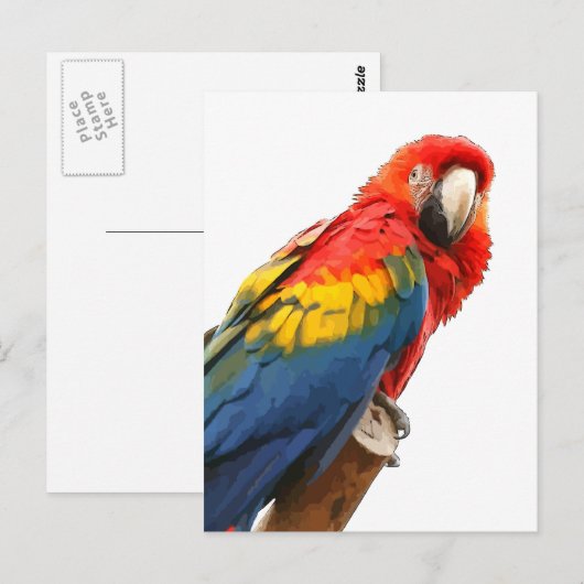 Scarlet Macaw Postkarte (Vorne/Hinten)