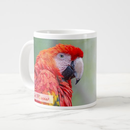Scarlet Macaw Psalm 91:4 KJV Jumbo-Tasse (Vorderseite Links)
