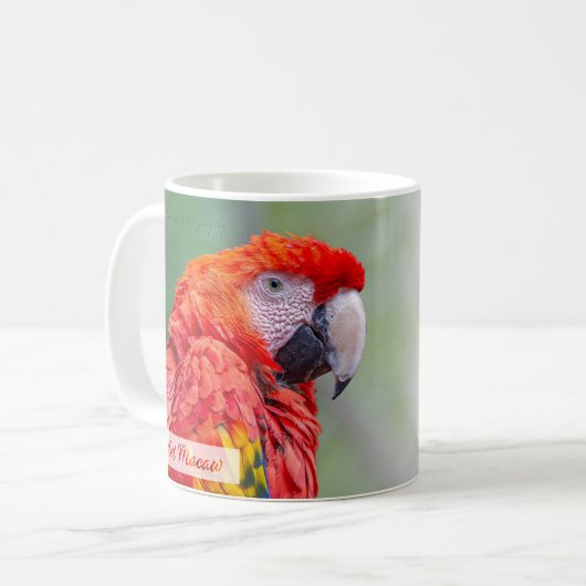 Scarlet Macaw Psalm 91:4 KJV Kaffeetasse (Vorderseite Links)