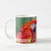 Scarlet Macaw Psalm 91:4 KJV Kaffeetasse (Links)