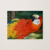 Scarlet Macaw Puzzle (Horizontal)