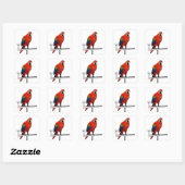 Scarlet Macaw Quadratischer Aufkleber (Blatt)