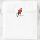 Scarlet Macaw Quadratischer Aufkleber (Tasche)