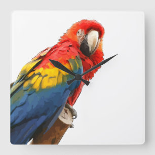 Scarlet Macaw Square Wall Uhr
