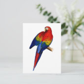 Scarlet Macaw tropischen farbenfrohen Regenwald Bi Postkarte (Stehend Vorderseite)