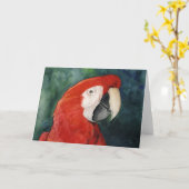 "Scarlet Macaw" Ursprüngliche Kunstnotecard Karte (Gelbe Blume)