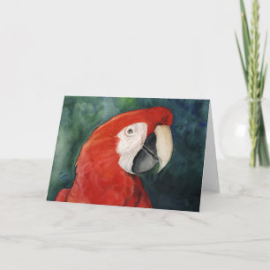"Scarlet Macaw" Ursprüngliche Kunstnotecard Karte