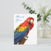 Scarlet Macaw Vielen Dank Postcard Postkarte (Stehend Vorderseite)