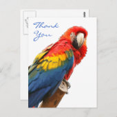 Scarlet Macaw Vielen Dank Postcard Postkarte (Vorne/Hinten)