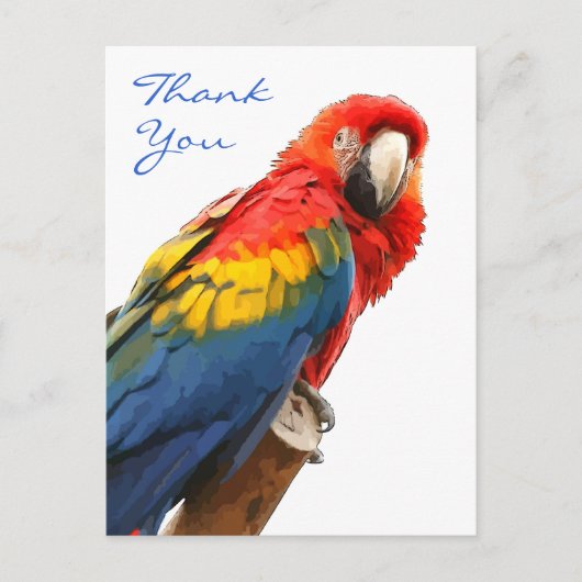 Scarlet Macaw Vielen Dank Postcard Postkarte (Vorderseite)