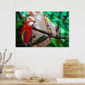 Scarlet Macaw White Parrot Amazon Jungle Poster (Küche)