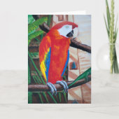 Scarlet Macaw Wildlife Bird Grußkarte Karte (Vorderseite)