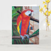 Scarlet Macaw Wildlife Bird Grußkarte Karte (Gelbe Blume)