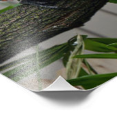 Scarlet Macaws II Fotodruck (Ecke)