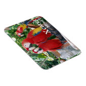 Scarlet Macaws Magnet (Rechte Seite)