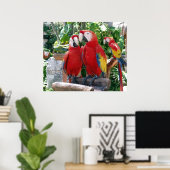 Scarlet Macaws Poster (Heimbüro)