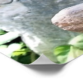 Scarlet Macaws Poster (Ecke)