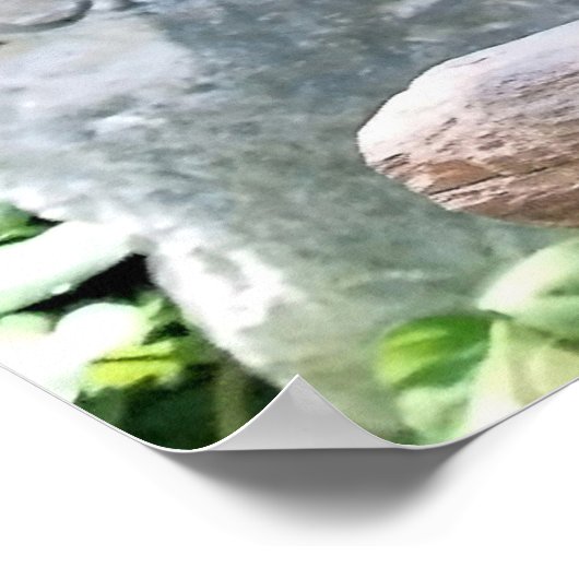 Scarlet Macaws Poster (Ecke)