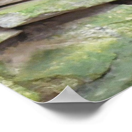 Scarlet Macaws Poster (Ecke)