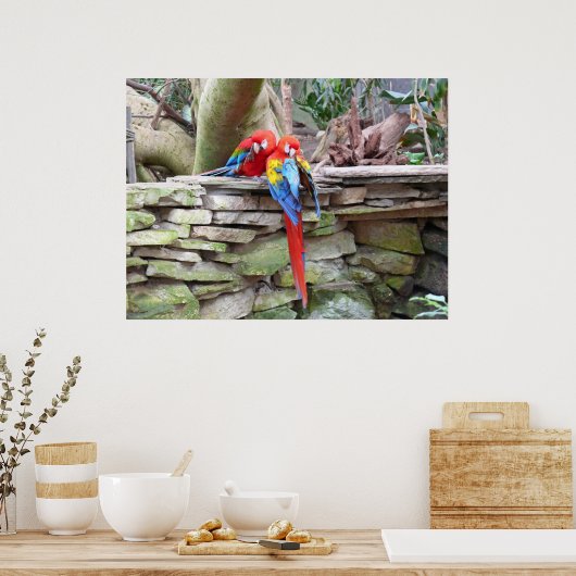 Scarlet Macaws Poster (Küche)