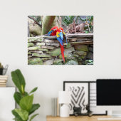 Scarlet Macaws Poster (Heimbüro)