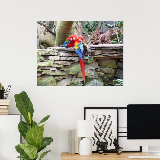 Scarlet Macaws Poster (Heimbüro)