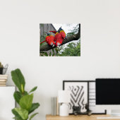 Scarlet Macaws Poster (Heimbüro)