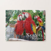 Scarlet Macaws Puzzle (Horizontal)
