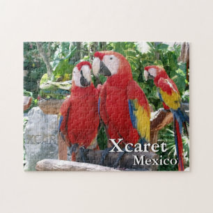 Scarlet Macaws Puzzle
