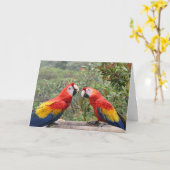 Scarlet Mackaws Karte (Gelbe Blume)