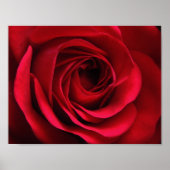 Scarlet Matte Poster (Vorne)