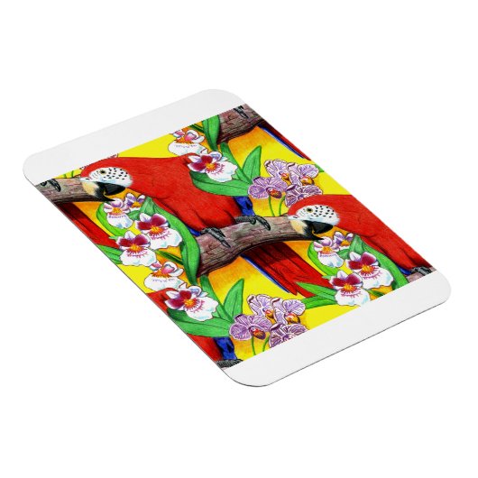 Scarlet McCaw Magnet (Rechte Seite)