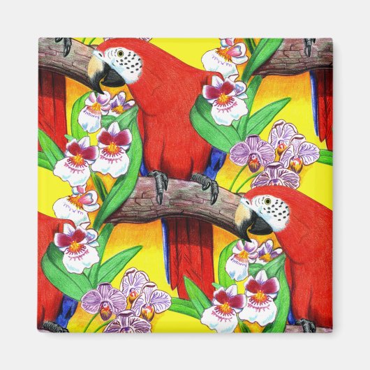 Scarlet McCaw Magnet (Vorne)