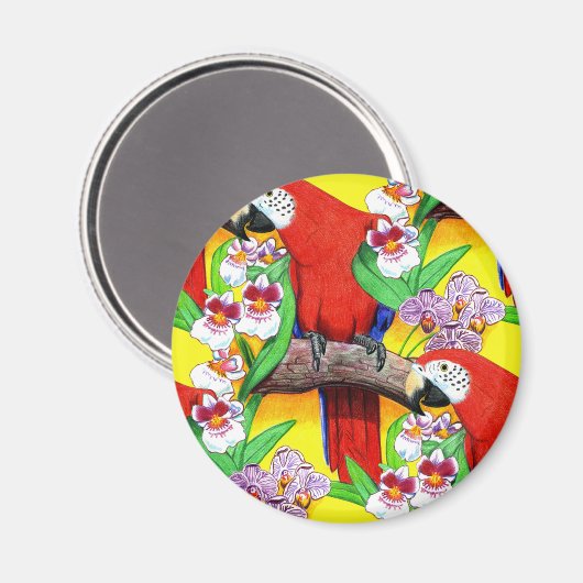 Scarlet McCaw Magnet (Vorderseite/Rückseite)