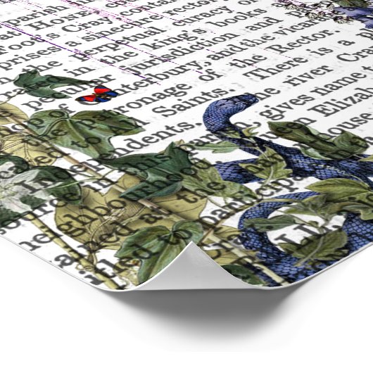 Scarlet Monkey Poster (Ecke)