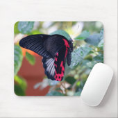Scarlet Mormon Butterfly Mousepad (Mit Mouse)