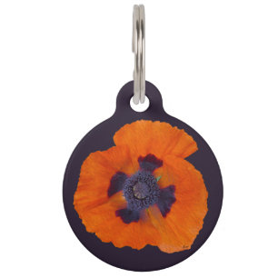 Scarlet Orange Mohn 1 Haustiermarke