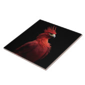Scarlet Phoenix Sits stolz Fliese (Seite)